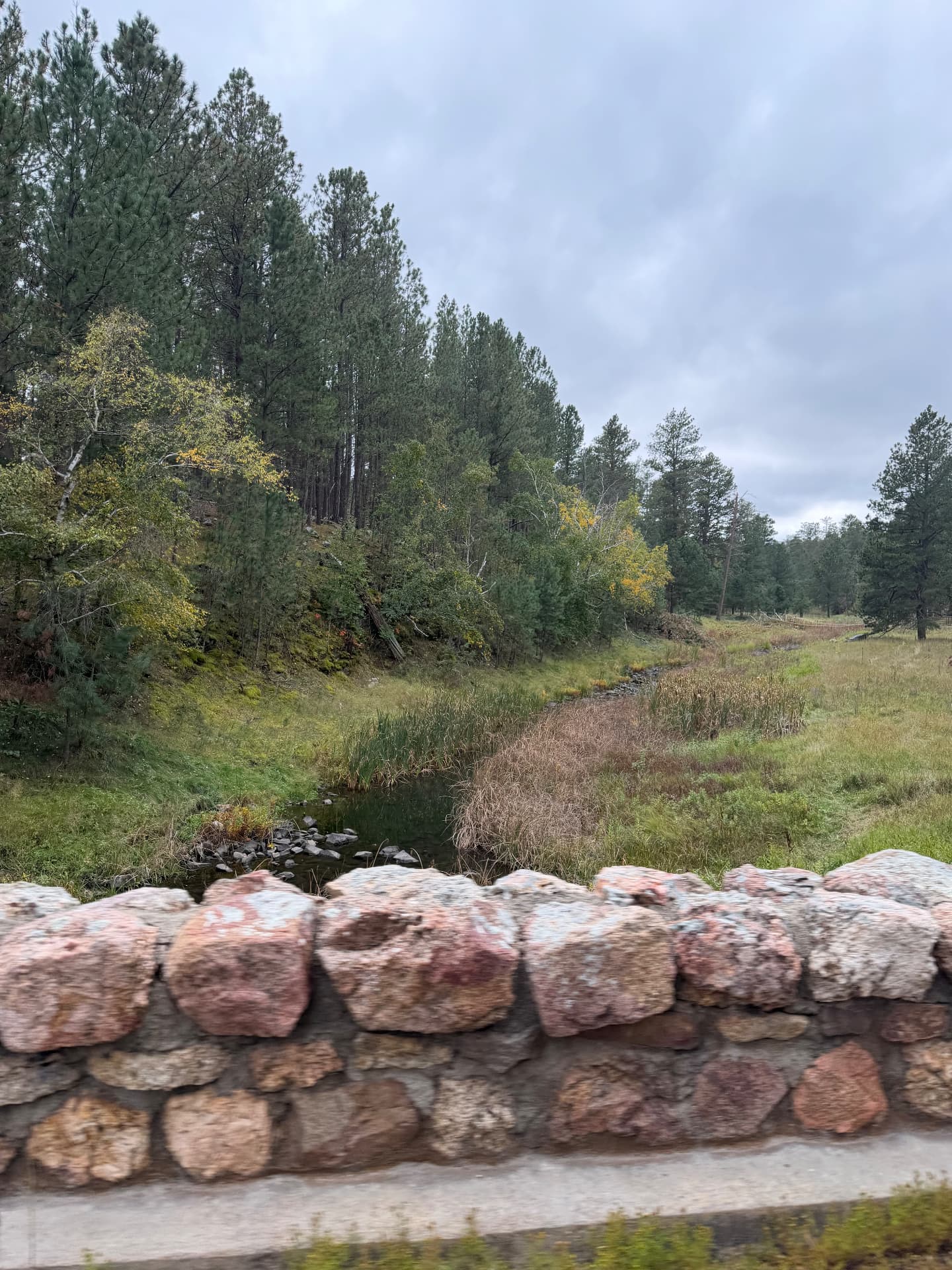 Granite Creek Crossing — The Black Hills