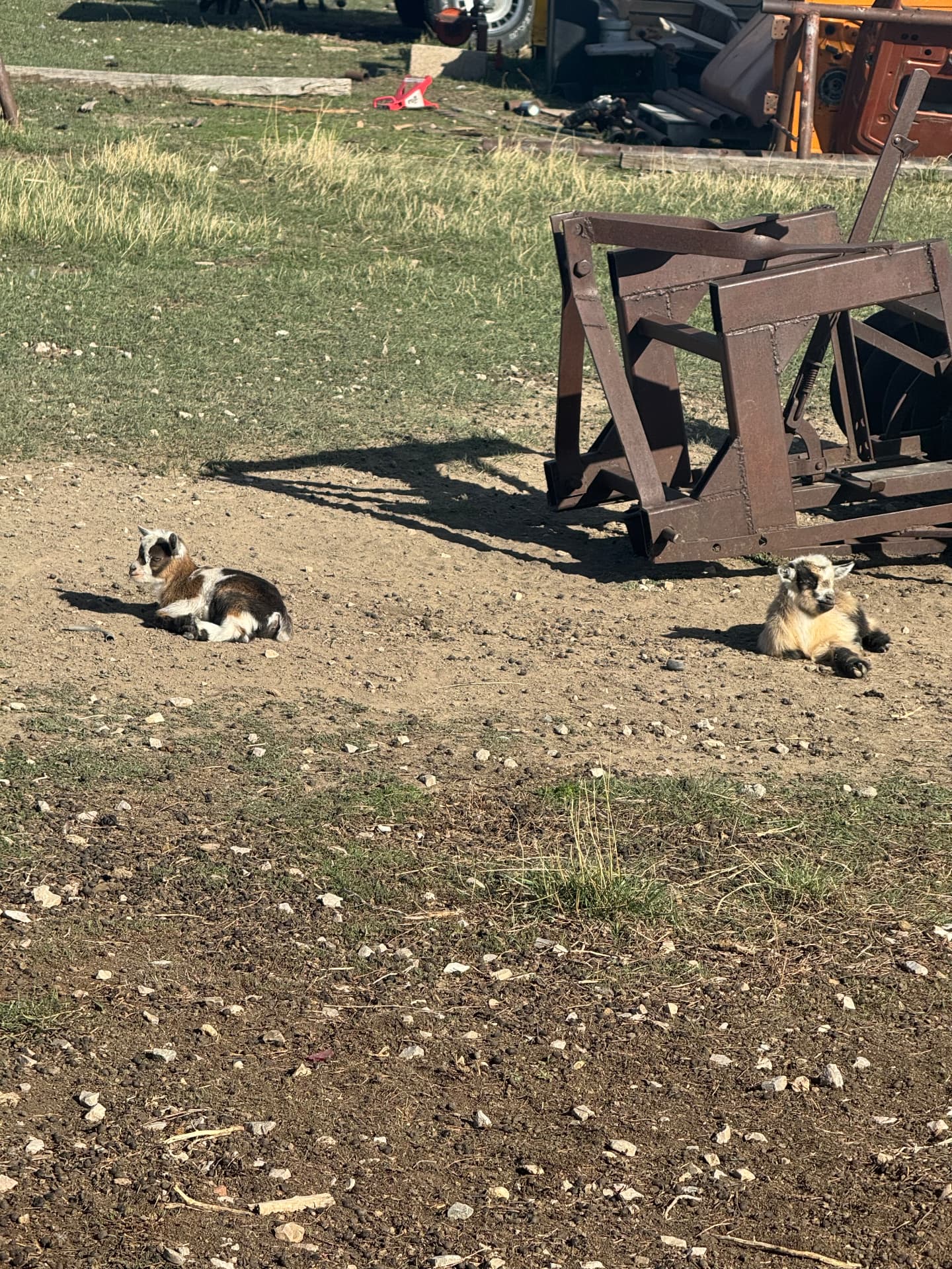Two Kids in the Sun — The High Plains