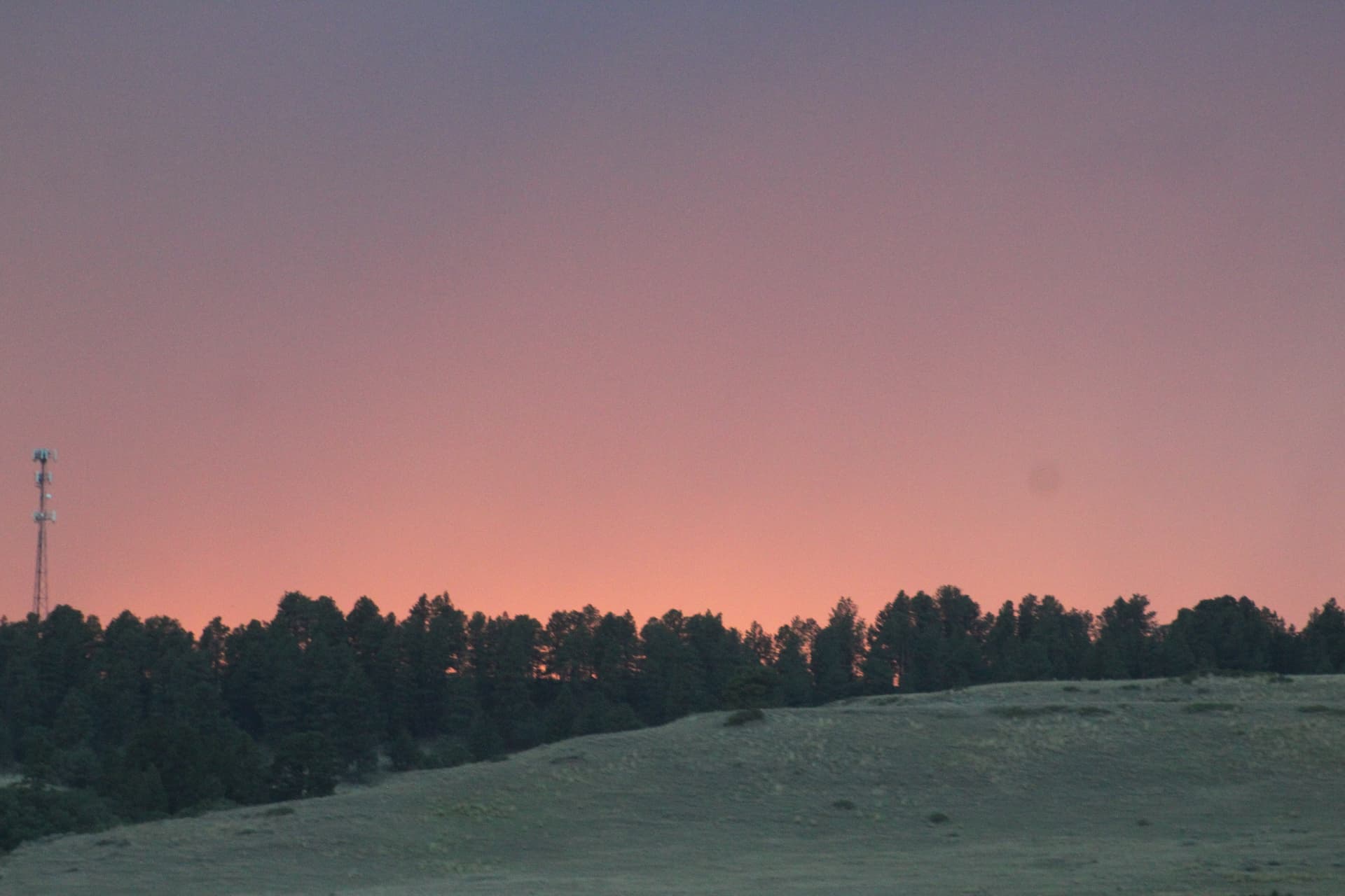 Rose Hour — The Pine Ridge